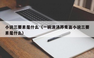 小说三要素是什么（一碗清汤荞麦面小说三要素是什么）