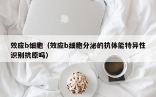 效应b细胞（效应b细胞分泌的抗体能特异性识别抗原吗）