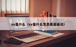 sv是什么（sv是什么意思英语语法）