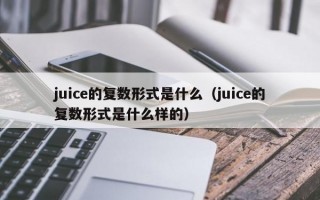 juice的复数形式是什么（juice的复数形式是什么样的）