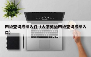 四级查询成绩入口（大学英语四级查询成绩入口）