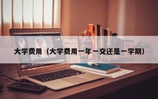 大学费用（大学费用一年一交还是一学期）