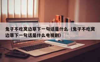 兔子不吃窝边草下一句话是什么（兔子不吃窝边草下一句话是什么电视剧）