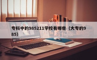 专科中的985211学校有哪些（大专的985）