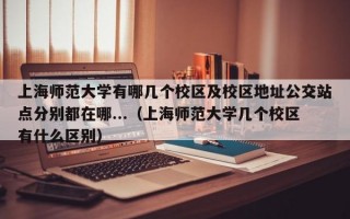 上海师范大学有哪几个校区及校区地址公交站点分别都在哪...（上海师范大学几个校区有什么区别）