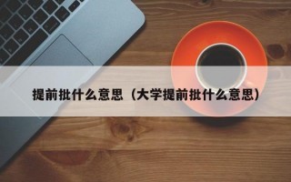 提前批什么意思（大学提前批什么意思）