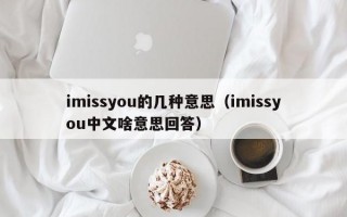 imissyou的几种意思（imissyou中文啥意思回答）