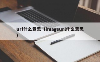 url什么意思（imageurl什么意思）