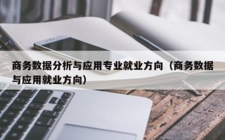 商务数据分析与应用专业就业方向（商务数据与应用就业方向）