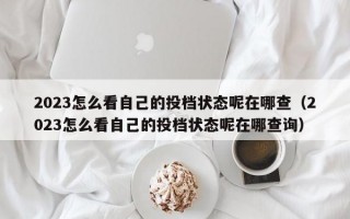 2023怎么看自己的投档状态呢在哪查（2023怎么看自己的投档状态呢在哪查询）