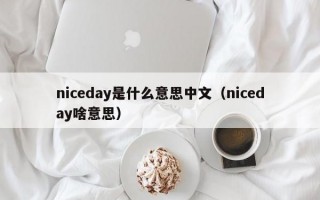 niceday是什么意思中文（niceday啥意思）