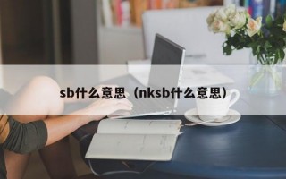 sb什么意思（nksb什么意思）