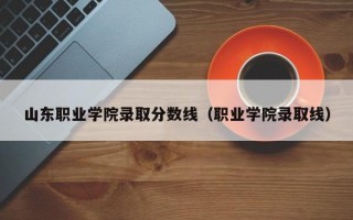 山东职业学院录取分数线（职业学院录取线）