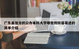 广东最低分的公办本科大学哪些院校容易进的简单介绍