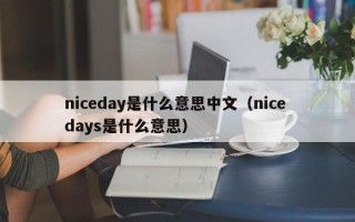 niceday是什么意思中文（nice days是什么意思）