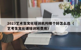 2023艺术生文化培训机构哪个好怎么选（艺考生文化课培训班费用）