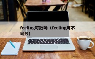 feeling可数吗（feeling可不可数）