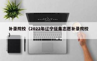 补录院校（2022年辽宁征集志愿补录院校）