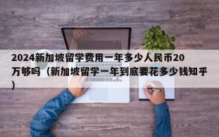 2024新加坡留学费用一年多少人民币20万够吗（新加坡留学一年到底要花多少钱知乎）