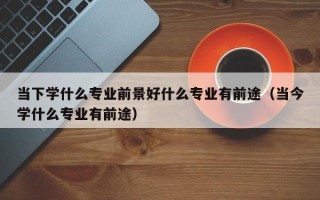 当下学什么专业前景好什么专业有前途（当今学什么专业有前途）