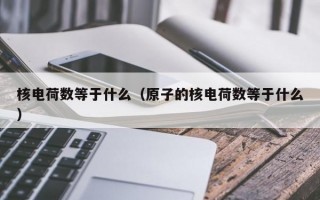 核电荷数等于什么（原子的核电荷数等于什么）