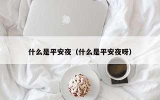 什么是平安夜（什么是平安夜呀）