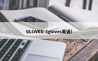 GLOVES（gloves英语）