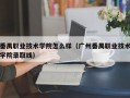 番禺职业技术学院怎么样（广州番禺职业技术学院录取线）