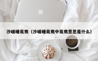 沙暖睡鸳鸯（沙暖睡鸳鸯中鸳鸯意思是什么）