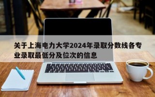 关于上海电力大学2024年录取分数线各专业录取最低分及位次的信息