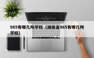 985有哪几所学校（湖南省985有哪几所学校）