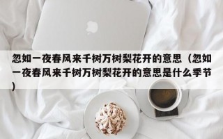 忽如一夜春风来千树万树梨花开的意思（忽如一夜春风来千树万树梨花开的意思是什么季节）