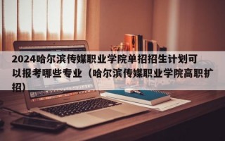 2024哈尔滨传媒职业学院单招招生计划可以报考哪些专业（哈尔滨传媒职业学院高职扩招）