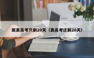 距离高考只剩20天（离高考还剩20天）