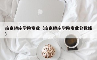 南京晓庄学院专业（南京晓庄学院专业分数线）