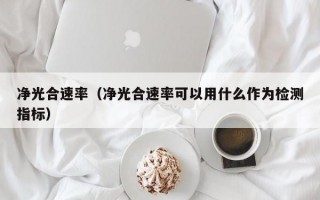 净光合速率（净光合速率可以用什么作为检测指标）