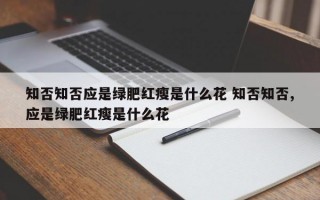 知否知否应是绿肥红瘦是什么花 知否知否,应是绿肥红瘦是什么花