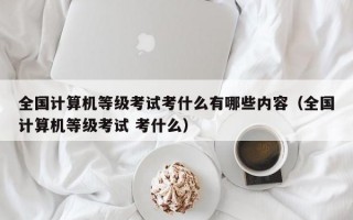 全国计算机等级考试考什么有哪些内容（全国计算机等级考试 考什么）