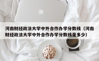 河南财经政法大学中外合作办学分数线（河南财经政法大学中外合作办学分数线是多少）