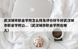 武汉城市职业学院怎么样及评价好不好武汉城市职业学院口...（武汉城市职业学院在哪儿）