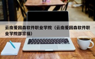 云南爱因森软件职业学院（云南爱因森软件职业学院邵宗福）