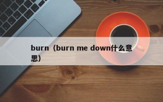 burn（burn me down什么意思）