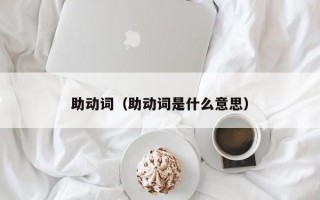 助动词（助动词是什么意思）