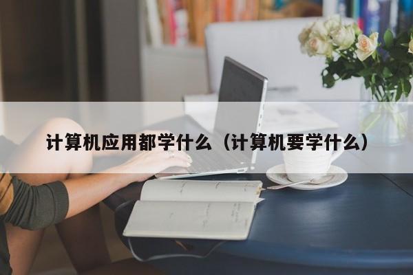 计算机应用都学什么（计算机要学什么）-第1张图片