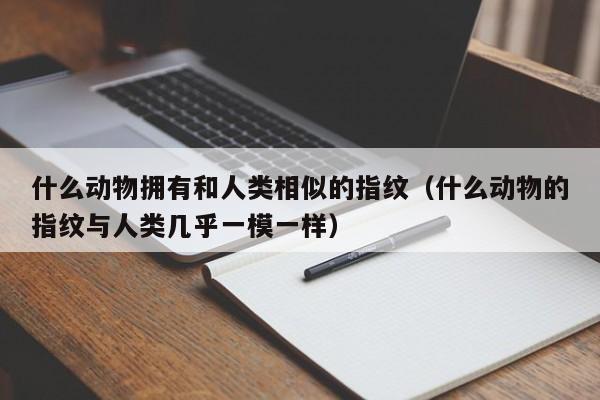 什么动物拥有和人类相似的指纹（什么动物的指纹与人类几乎一模一样）-第1张图片