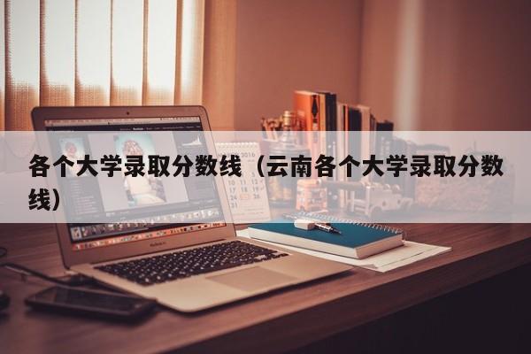 各个大学录取分数线（云南各个大学录取分数线）-第1张图片