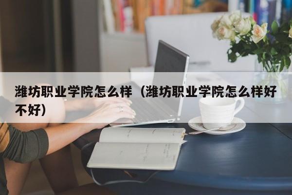 潍坊职业学院怎么样（潍坊职业学院怎么样好不好）-第1张图片