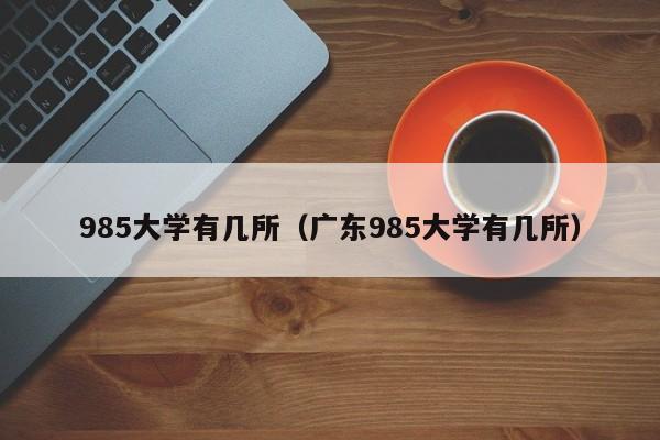 985大学有几所（广东985大学有几所）-第1张图片