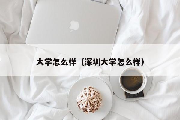 大学怎么样（深圳大学怎么样）-第1张图片