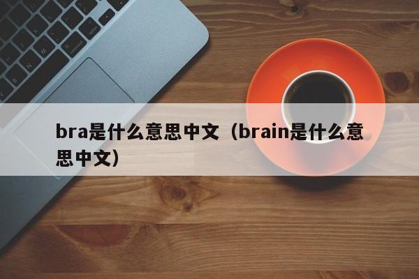 bra是什么意思中文（brain是什么意思中文）-第1张图片